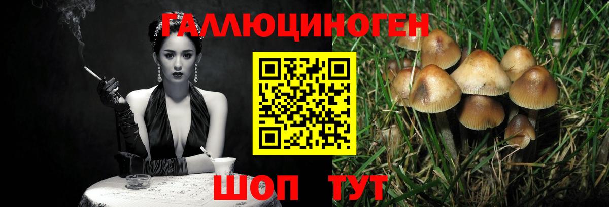 Кострома  Галлюциногенные грибы ЛСД  Вход с VPN 